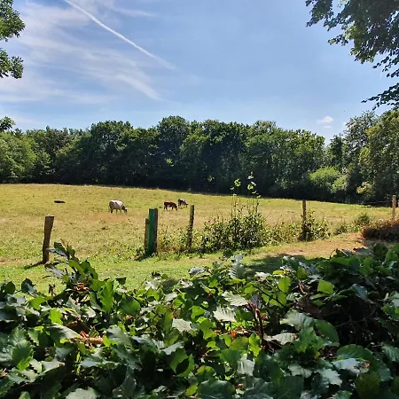 Slotsgaardens Hus Prázdninový dům Jels