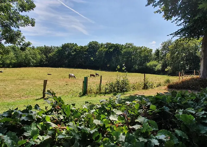 Slotsgaardens Hus Dom wakacyjny Jels